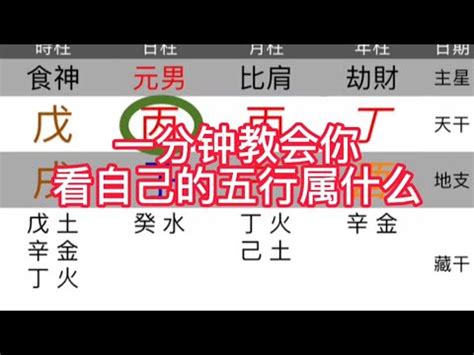 個人五行屬性|【五行屬什麼怎麼算】五行屬什麼？算命看一生運勢！線上生辰八。